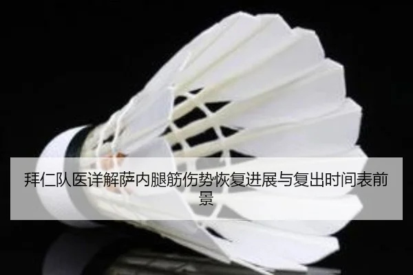 拜仁队医详解萨内腿筋伤势恢复进展与复出时间表前景